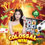 Bet251 com